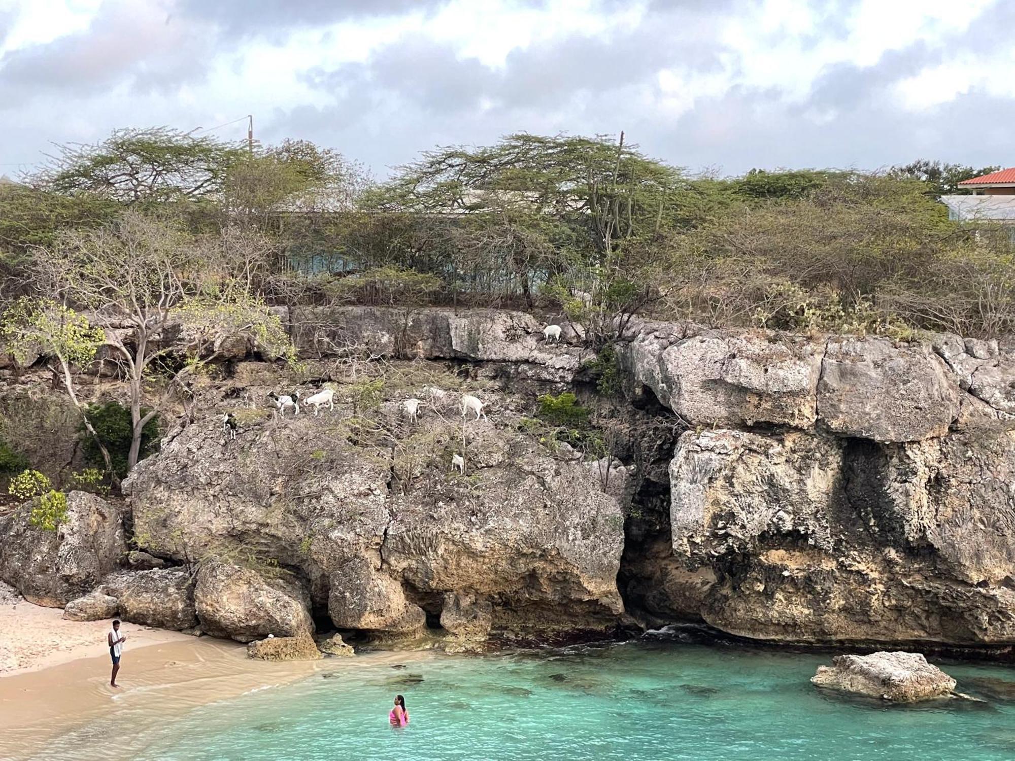 Finisterre Curacao Villa Westpunt Exteriör bild